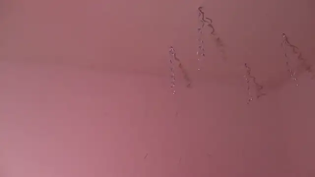 Miss oliviaa online show from January 3, 11:01 pm