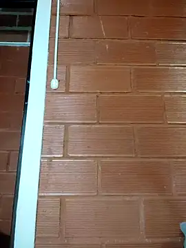 Priyalakshmi  online show from February 27, 1:28 pm