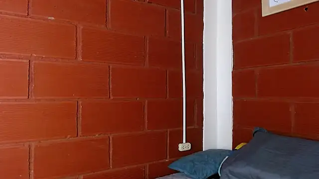 Priyalakshmi  online show from March 13, 9:10 am