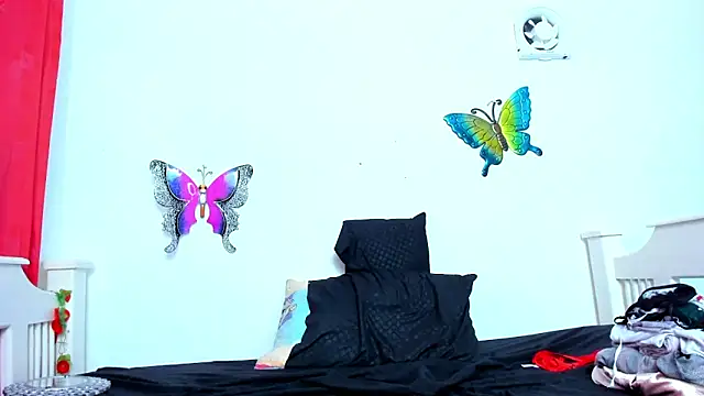 Tasty Alan online show from February 11, 2:35 am