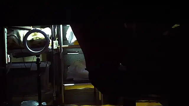 qoooqing67 online show from December 15, 6:18 am