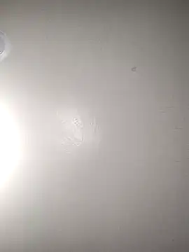 Snapshot of TickleMeKink chatting on October 14, 8:59 am TickleMeKink online show from October 14, 8:59 am