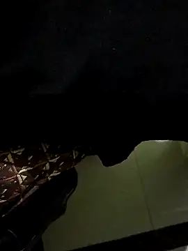 Snapshot of manoj_master chatting on December 2, 2:08 pm manoj master online show from December 2, 2:08 pm