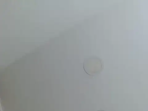 milfevha online show from February 26, 2:38 pm