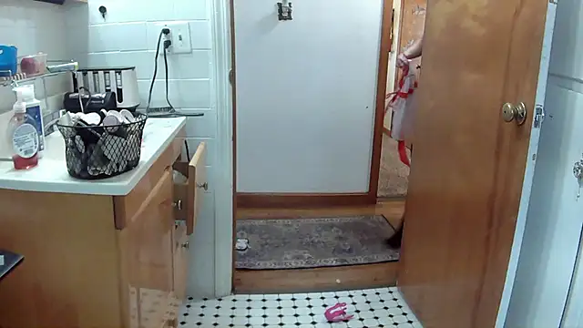 Snapshot of EllaSnow chatting on December 15, 5:20 pm EllaSnow online show from December 15, 5:20 pm