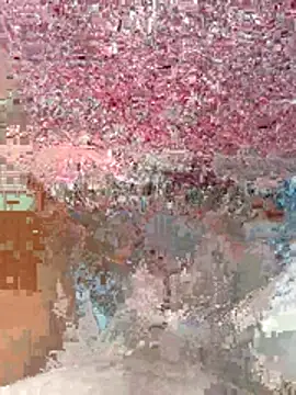 wajdi-wa7ch online show from July 29, 7:17 am