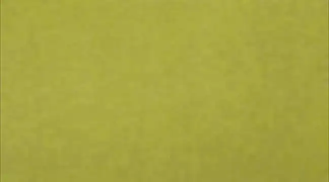 AnneGagner online show from March 9, 6:32 pm