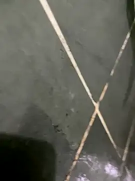 Snapshot of gzn01 chatting on October 30, 7:03 pm gzn01 online show from October 30, 7:03 pm