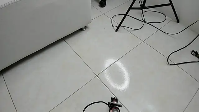 dorothy vegga online show from December 18, 2:50 am