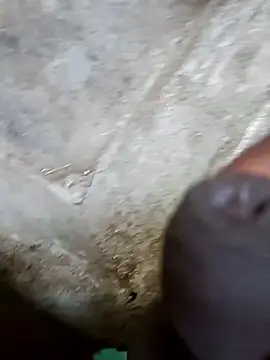 jellydicks online show from December 29, 11:18 am