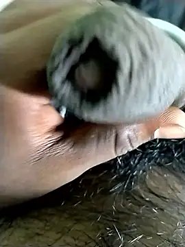 jellydicks online show from October 2, 4:36 pm