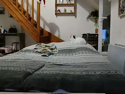 Snapshot of Lauzo21 chatting on December 5, 6:33 am Lauzo21 online show from December 5, 6:33 am