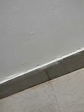 Tamilrojanew online show from March 7, 5:04 am