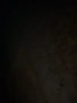 tripexnte online show from February 20, 6:39 am