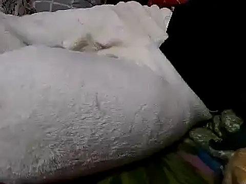 sexyguy1231 online show from December 26, 3:53 pm
