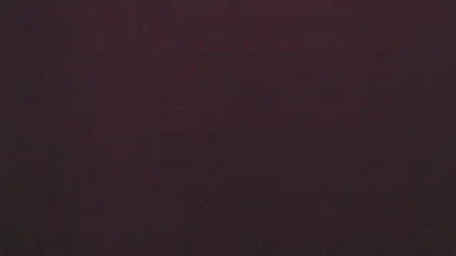 Zoeth Ruiz online show from February 6, 3:20 pm