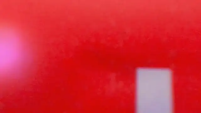 Zoeth Ruiz online show from February 13, 4:07 pm