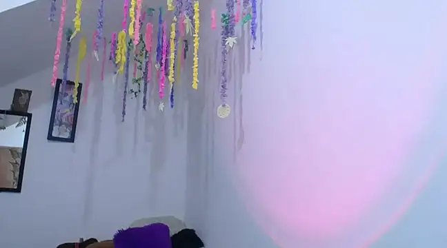 Snapshot of diamonmeli chatting on January 30, 9:36 pm diamonmeli online show from January 30, 9:36 pm