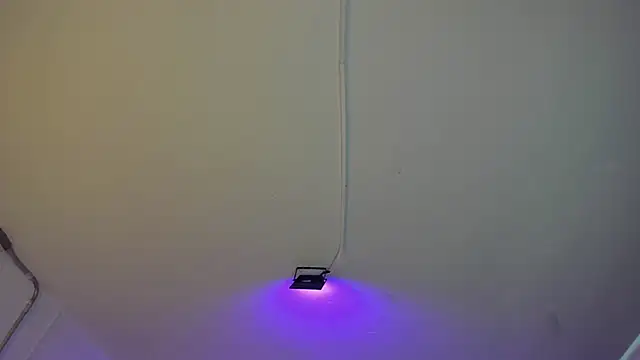 Amy Kiitty  online show from February 27, 1:00 pm