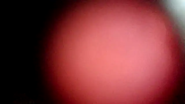 Snapshot of modenq chatting on March 20, 2:33 pm modenq online show from March 20, 2:33 pm