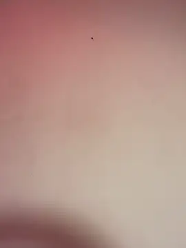 Snapshot of _Chartlotte chatting on December 11, 11:32 pm Chartlotte online show from December 11, 11:32 pm