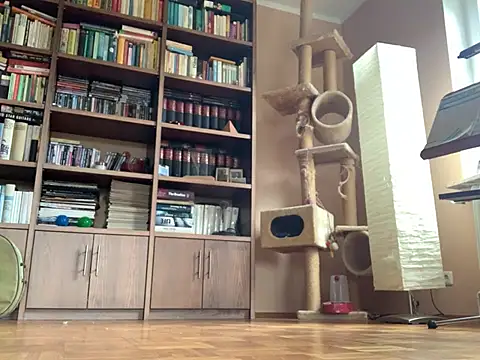 Bula94193 online show from February 7, 8:55 am