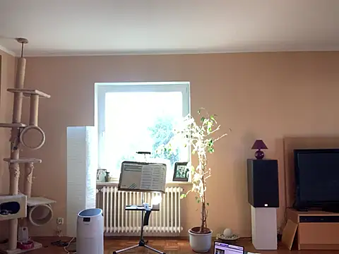 Bula94193 online show from March 8, 8:33 am