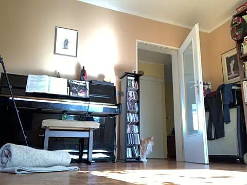 Bula94193 online show from September 24, 9:45 am