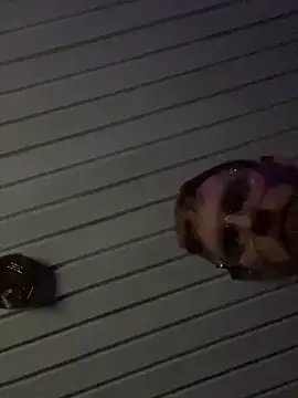 Snapshot of luv2cum7491 chatting on December 20, 7:33 am luv2cum7491 online show from December 20, 7:33 am