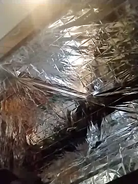 Snapshot of axelongshaft69 chatting on December 19, 1:50 am axelongshaft69 online show from December 19, 1:50 am