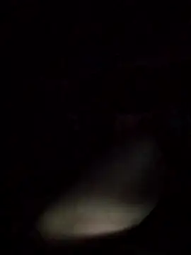 Snapshot of axelongshaft69 chatting on March 9, 12:53 pm axelongshaft69 online show from March 9, 12:53 pm