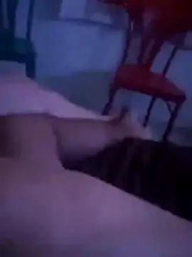 Malubrotudo online show from February 1, 11:25 pm