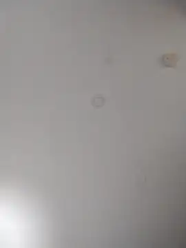 geilerschwanz64 online show from October 10, 6:01 am