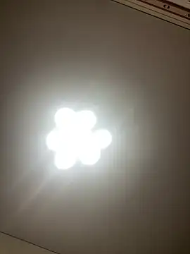 Janet Welder online show from December 19, 6:56 pm