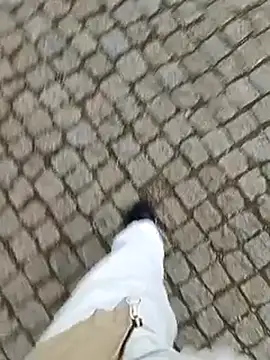 domexib online show from February 15, 5:39 pm