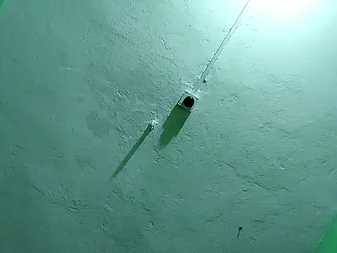 RADHAHO online show from November 2, 9:50 pm