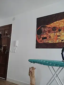 Satiro Sevilla online show from November 12, 9:32 am