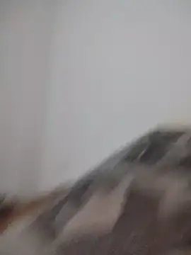 Satiro Sevilla online show from February 24, 12:19 am