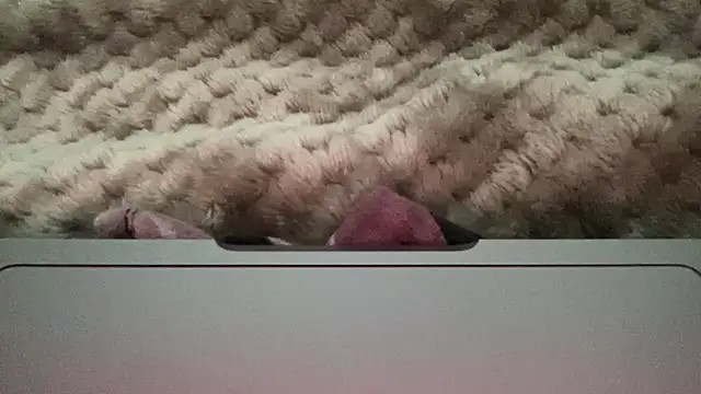 Snapshot of thick_n_hard chatting on December 14, 9:51 am thick n hard online show from December 14, 9:51 am