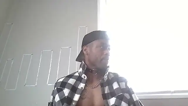 PETER-RABIT online show from December 29, 2:21 pm