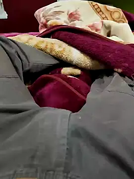 Snapshot of William390 chatting on January 25, 9:47 am William390 online show from January 25, 9:47 am