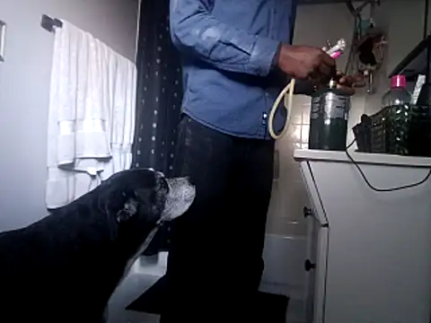 DevinToore online show from October 31, 10:33 pm