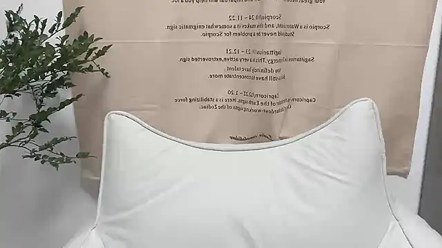 Arrebo1 online show from December 4, 2:37 pm