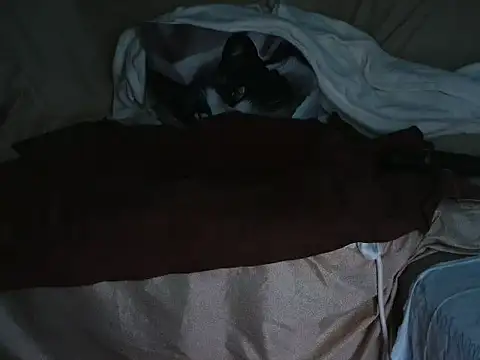 VeneRed online show from October 1, 6:47 pm