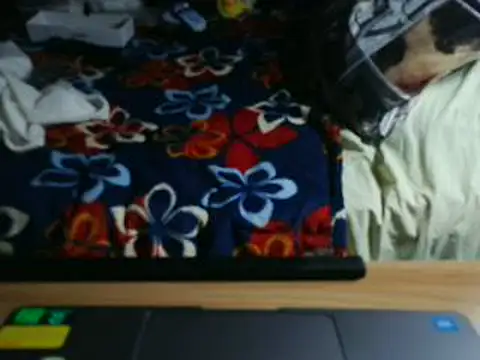 Snapshot of VeneRed chatting on May 31, 8:32 pm VeneRed online show from May 31, 8:32 pm
