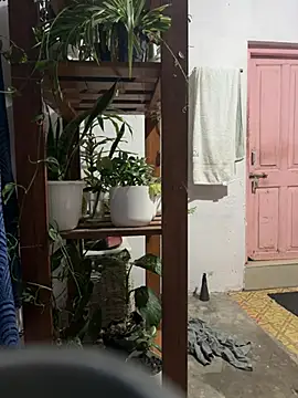 Snapshot of alburt_1996 chatting on January 16, 3:02 pm alburt 1996 online show from January 16, 3:02 pm