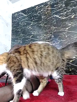 crislingery dolli online show from October 12, 1:43 pm