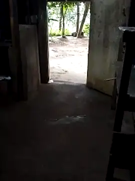 Snapshot of SL_ROMESH_04 chatting on February 1, 11:53 am SL ROMESH 04 online show from February 1, 11:53 am