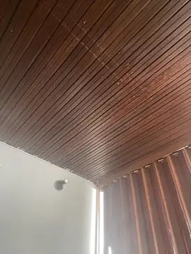 Praga Pink online show from March 3, 2:12 pm