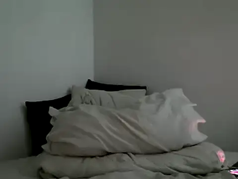 Snapshot of bruce_bigg chatting on February 4, 6:25 am bruce bigg online show from February 4, 6:25 am